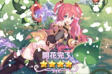 【プリコネR】クウカ 星4 開花演出