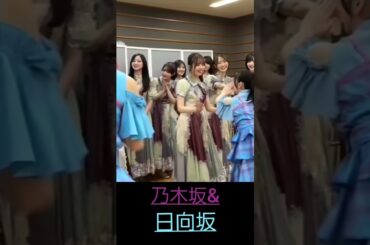 乃木坂&日向坂👌こうゆうのイイネ👏美佑ちゃんなんか挨拶されてる🥰#shorts