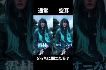鬼滅の刃×柱コスプレ　どっちに聞こえる？#鬼滅の刃 #鬼滅の刃無限城編 #比較動画 #空耳 #コスプレ #柱 #demonslayer #cosplay