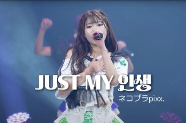 [믹스콜/한글번역] JUST MY ジンセイ (저스트 마이 진세이) - ネコプラpixx. (네코프라)