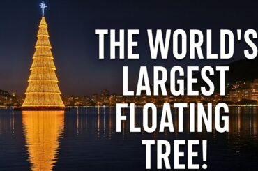 リオの巨大なクリスマスツリーが夜を彩る！