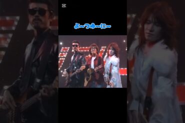 ジアルフィ #笑う犬