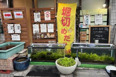 2025年8月11日日報（特にネタはありません）