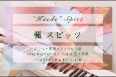 楓 スピッツ “Kaede” Spitz/ ぷりんと楽譜 ピアノソロ上級 / CASIO PX-S1100