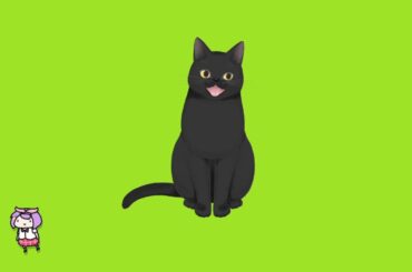 ネタ枠、似て非なるもの。上戸彩と綾戸智絵について。