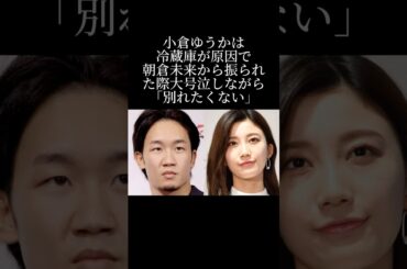 破局の原因の冷蔵庫とは？