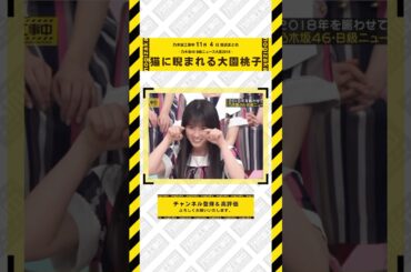 猫に睨まれる大園桃子  #乃木坂46 #乃木坂  #乃木坂工事中 #齋藤飛鳥 #遠藤さくら #賀喜遥香 #井上和 #小川彩 #川崎桜 #一ノ瀬美空 #菅原咲月 #中西アルノ #池田瑛紗 #五百城茉央