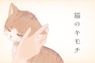 『猫のキモチ』 Acoustic Cover. つぢい