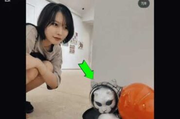 「最高！」南沙良、モノトーンのＴシャツ＆短パンコーデで魅力爆増し！「可愛い大好き」