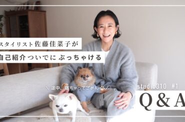 【Q&A】自己紹介がてら質問コーナー！…のはずが愛犬のイビキが主役になっちゃいました