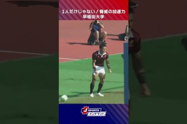 【えぐい加速力】相手に脅威を与え続ける早稲田大学のスピード #大学ラグビー #ラグビー #c_rugby #shorts