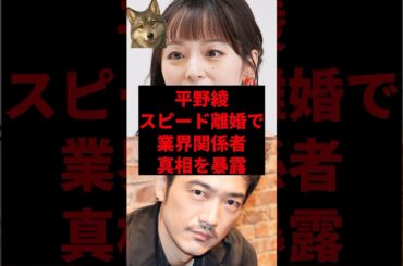 平野綾スピード離婚で業界関係者、真相暴露