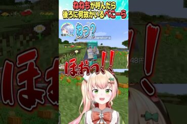 後ろに何故かいるぺこら【ホロライブ切り抜き/Hololive】#vtuber #shorts #兎田ぺこら #桃鈴ねね