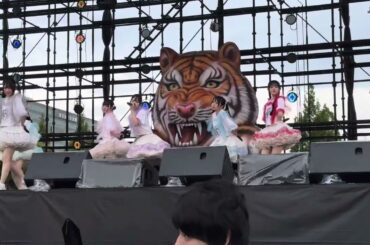 パラディーク 『シオカゼKISS』20250810@IDOL SUMMER JUNGLE 2025（お台場青海地区R区画）