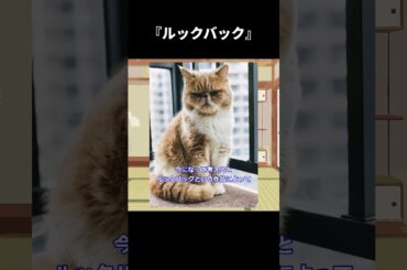 『ルックバック』【ゆっくり映画雑談】【ネタバレ無し】