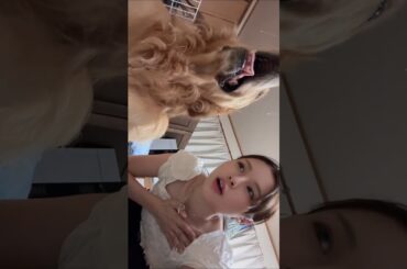 元NGT48 本間日陽 ぐっぼーーーーーーい🐶#fyp