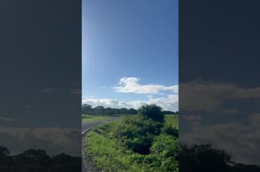 青空ごきげんよう #空野青空 #nature#心#小さな一歩#自然が好き