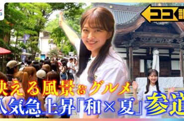 若者急増！SNS映え風景＆グルメで人気急上昇中"原宿化"する参道の魅力とは？原田葵アナが徹底調査【ココ調】