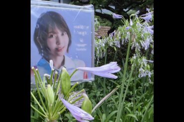 【たねばな】　第01回 『Salon de Tanedaへようこそ♪番組イベント』２０２５年7月12日