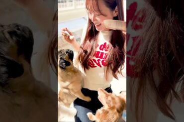 元NMB48 白間美瑠🐵🎀わんわん🐶🐾🐾