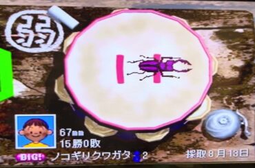 【18日は大谷育江さんの誕生日】虫相撲(Part 2)