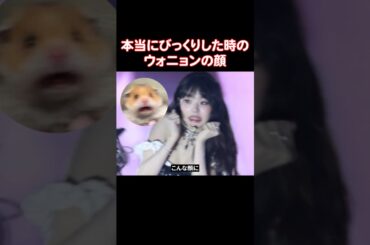 本当にびっくりしたらハムスターみたいになるIVEのウォニョン