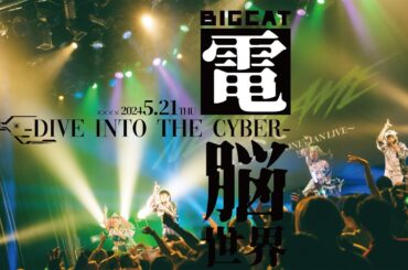 AZ-ON - 電脳世界 (LIVE at BIGCAT)
