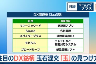 注目のDX銘柄　玉石混交「玉」の見つけ方【日経モープラFT】