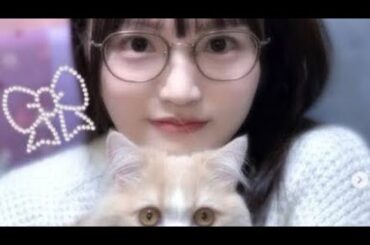 元日向坂46・高瀬愛奈、猫関連の資格取得を報告　「すごい」「素晴らしいね」