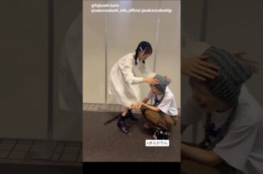 増本綺良 藤吉夏鈴 かりん猫とたわむれるきらちゃん♪きらかりん 櫻坂46