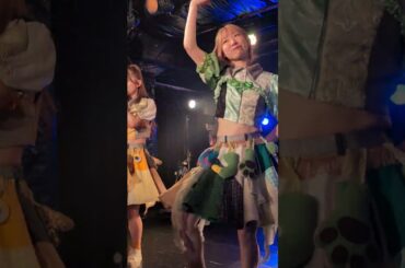 豆柴の大群　ハナエモンスター #推しカメラ　#アイドル