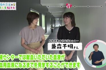 【馬場のぶえのひろしま脳トレ】第19回「毎年８月２１日 献血の日　見えない誰かの笑顔のために」