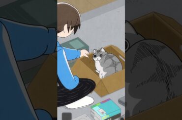 ジャマしにきたネコ