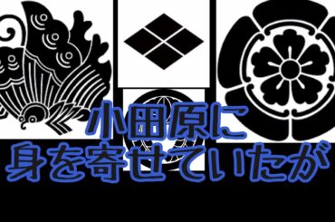 偽りの旗、秘めたる愛#voicevox青山龍星　#ymm4