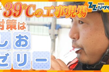 【熱中症予防】現場の“相棒”に大ヒット「しおゼリー」猛暑で価格高騰！秋の味覚もピンチ【ニュース ジグザグ】