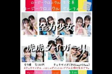 2025/08/14～08/15「全力少女」×「虎虎タイガー!!」