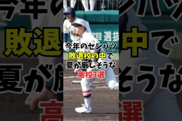 【夏の甲子園】東洋大姫路やエナジックスポーツは春夏連続で甲子園出場が厳しすぎる件【2025】