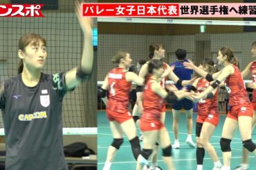 【バレー】女子日本代表、23日開幕の世界選手権に向けて練習公開　和田由紀子は別調整
