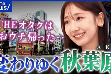 【秋葉原】メイドもオタクも萌えも古い？元AKB48・柏木由紀と考えるアキバのイマとミライ｜アベプラ