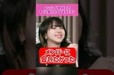 【メンバー愛】メンバーが大好きですぐに会いたくなるチェヨン #kpop #twice #chaeyoung