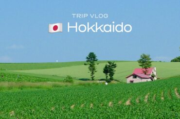 [ 北海道旅行Vlog ] 夏の3泊4日 | 札幌,富良野,美瑛,余市,積丹🐄 | グルメ,絶景,グランピング,余市蒸留所,積丹ブルー,ウニ丼