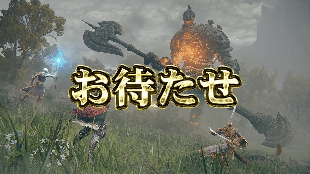 今日こそは… 今日こそは…