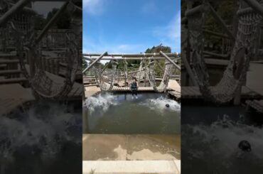 水上どすこいゲームでびしょびしょになるのは誰だ？ #グリーニア #Fischer’s