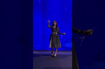 #可愛いすぎてごめん　麻央ちゃん💕のワクワクパニック⁉️の巻🫶🫶