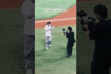 【推し活旅行】一般社畜の北海道ぼっち遠征/  #アニポケ ×エスコンコラボ/鈴木みのりファーストピッチ/雪ミクスカイタウン #ポケモン #エスコンフィールド #声優