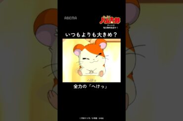 全力の「へけっ」でおへんじ！ ｜「とっとこハム太郎」アベマでは毎日無料配信中！#Shorts