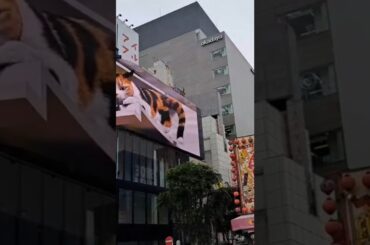 色ずく街　南沙織