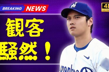 「大谷翔平のホームランに涙…元モー娘。新垣里沙が敵地で魅せた“奇跡のオーラ”【JapanTainment】」#大谷翔平 #新垣里沙 #japantainment