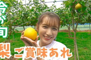 旬の梨！規格外だとどうなるか？才木リポーターが余すことなく堪能＆調査【いまドキッ！埼玉】2025.8.23放送