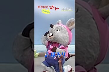 やあ！ぼく、ぽろりなのだ！